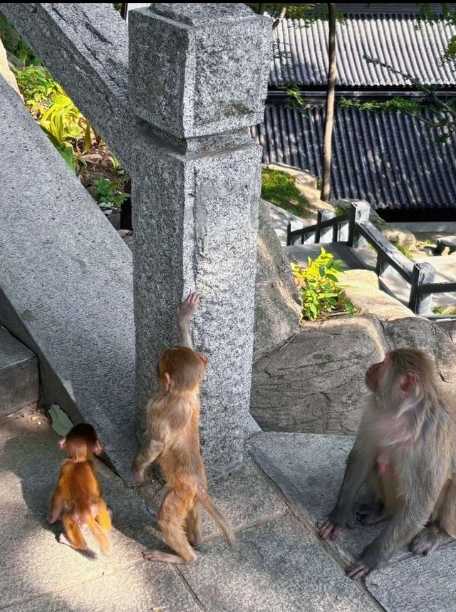 江蘇居然藏住咁正嘅海邊小城！高鐵直達仲人少景靚，