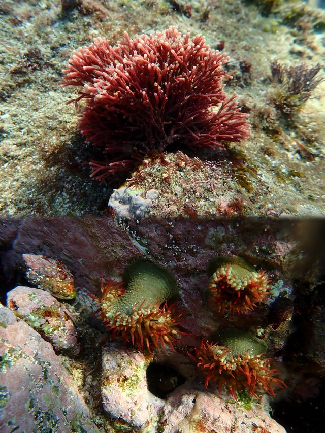 2025.7.5星期六｜惠州赤洲島·廣東馬爾代夫