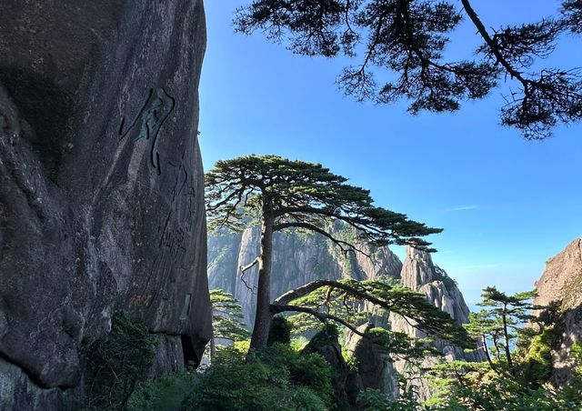 黃山蓮花峰暑假開放嗎？有哪些免費人群？