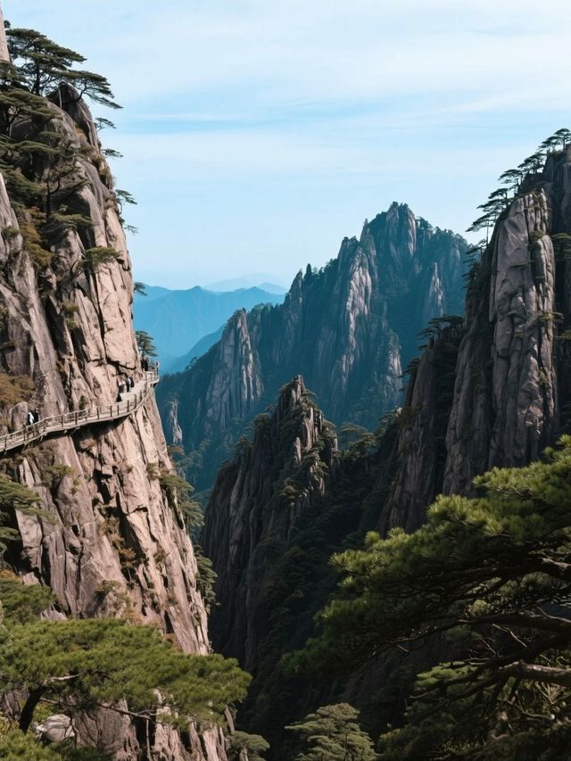黃山5人兄弟團夏季登山
