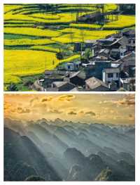 喺「天下奇觀」度跌咗手機，反而搵返成個夏天嘅驚嘆