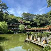 Shenzhen Fairy Lake Botanical Gardens!