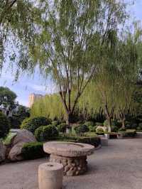閒遊板橋坊河之三湖公園
