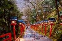 Dreamy Tanabata at Kifune Shrine: Romance Under Lanterns