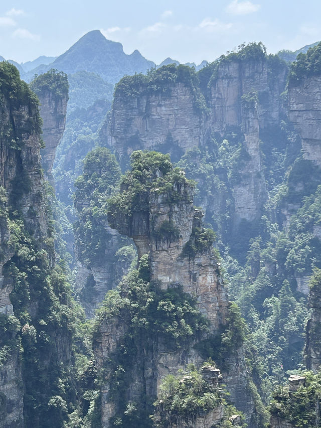 ✨ Trip Moment: Zhangjiajie ✨