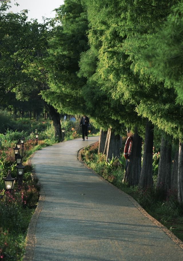 昆明大觀樓｜公園20分鐘效應真係超治癒