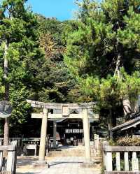 抗日旅行之《女友的秘密》城崎温泉恋之旅