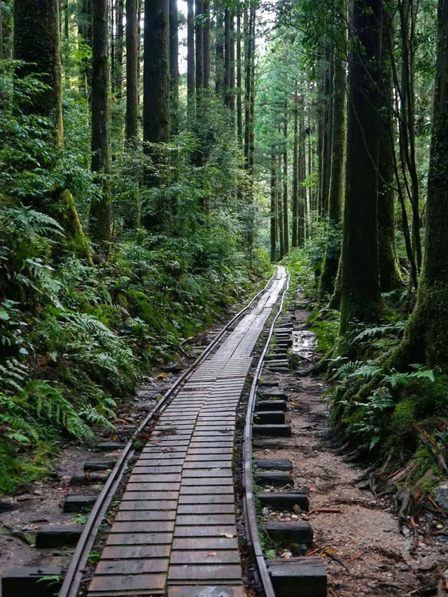 以為伊豆已經夠驚艷了,沒想到九州可以這麼絕!
