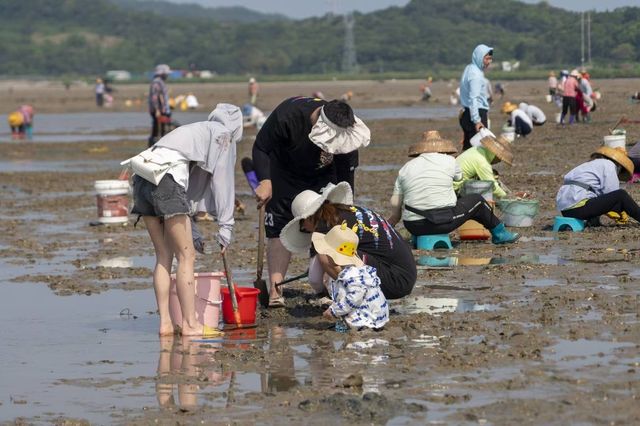 海陵島日出絕美時刻