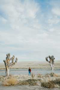 國慶出遊 | 5天穿越美西。