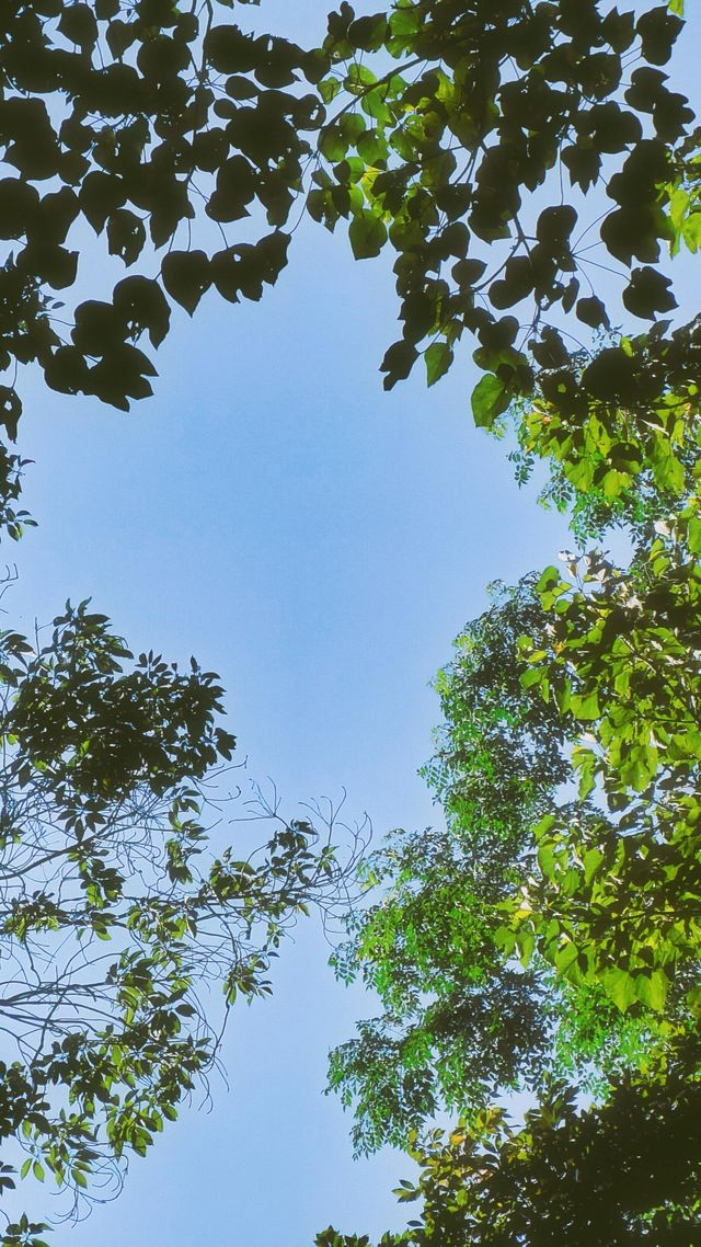 夏末藏著的清涼地！龍頸里踩水挖沙，孩子玩瘋大人放空～