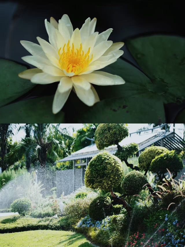 廈門絕美寶藏地！園博苑一整天都逛唔晒~
