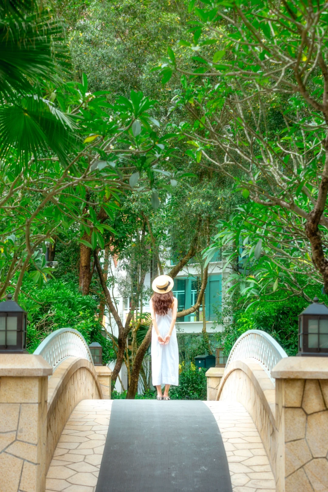 一眼心動|住进華僑城洲際的夏天裡🏝️解鎖華僑城洲際大酒店椰林泳池秘境,在城市綠洲復刻熱帶慵懶。 一眼心動|住进華僑城洲際的夏天裡🏝️解鎖華僑城洲際大酒店椰林泳池秘境,在城市綠洲復刻熱帶慵懶。