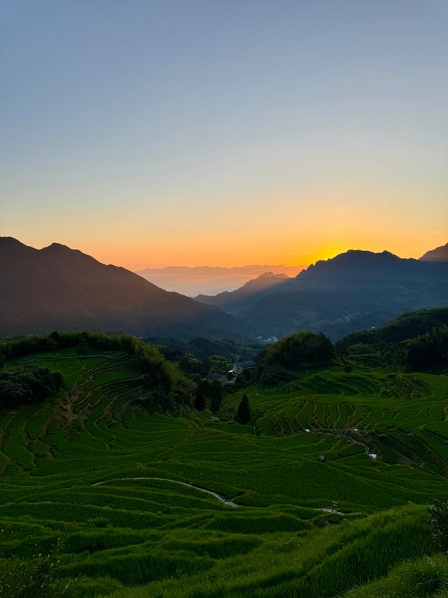 麗水雲和梯田|千層天梯雲上繞 日出雲海漫鏡田 麗水雲和梯田|千層天梯雲上繞 日出雲海漫鏡田