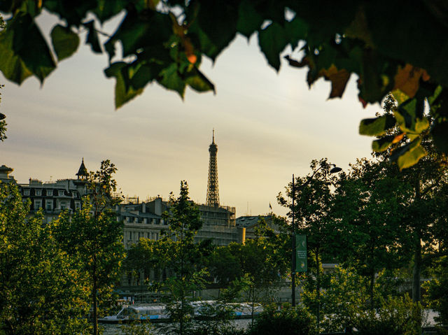 The Eiffel Tower in Paris! 🇫🇷✨