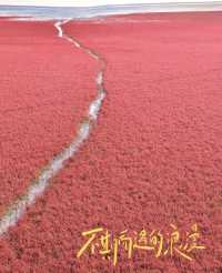 闖入「世界紅色海岸線」秋日童話