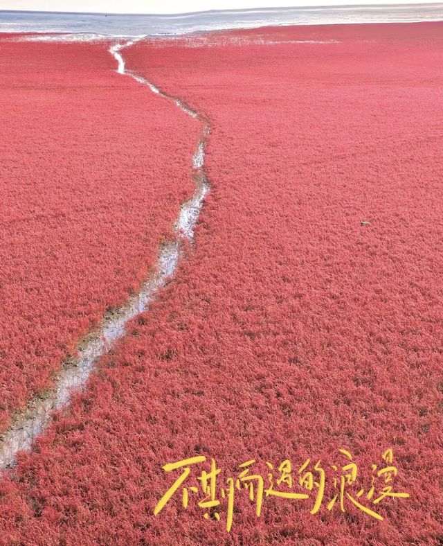 闖入「世界紅色海岸線」秋日童話