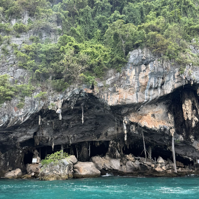 🌊泰國PP島保姆級攻略｜邂逅果凍海🌊 