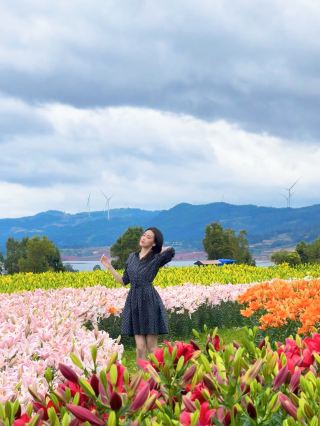 【Taiping Lake National Day Travel Guide】Sea of lilies, land art stunning the entire autumn!