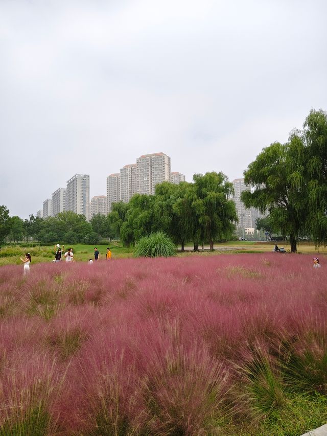 南京江心洲遛娃|真的已經到了next level 南京江心洲遛娃|真的已經到了next level