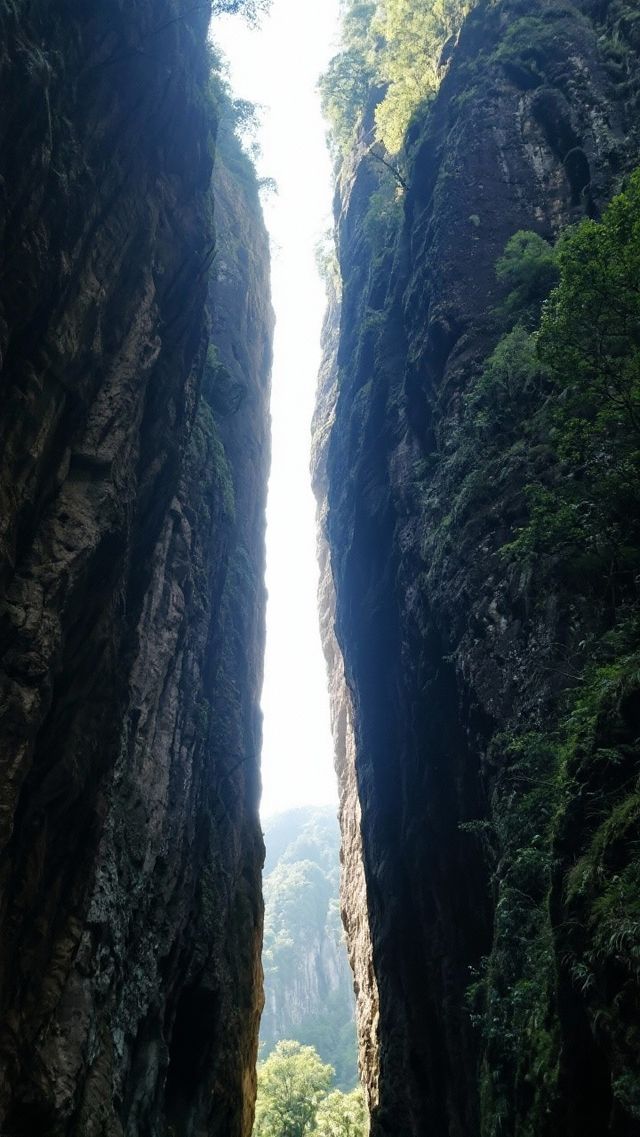 武夷山~茶香繚繞的丹霞仙鏡！