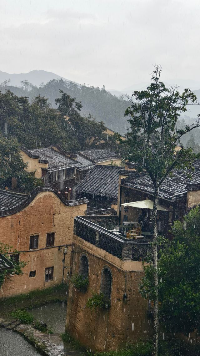 煙雨四坪如詩畫 煙雨四坪如詩畫