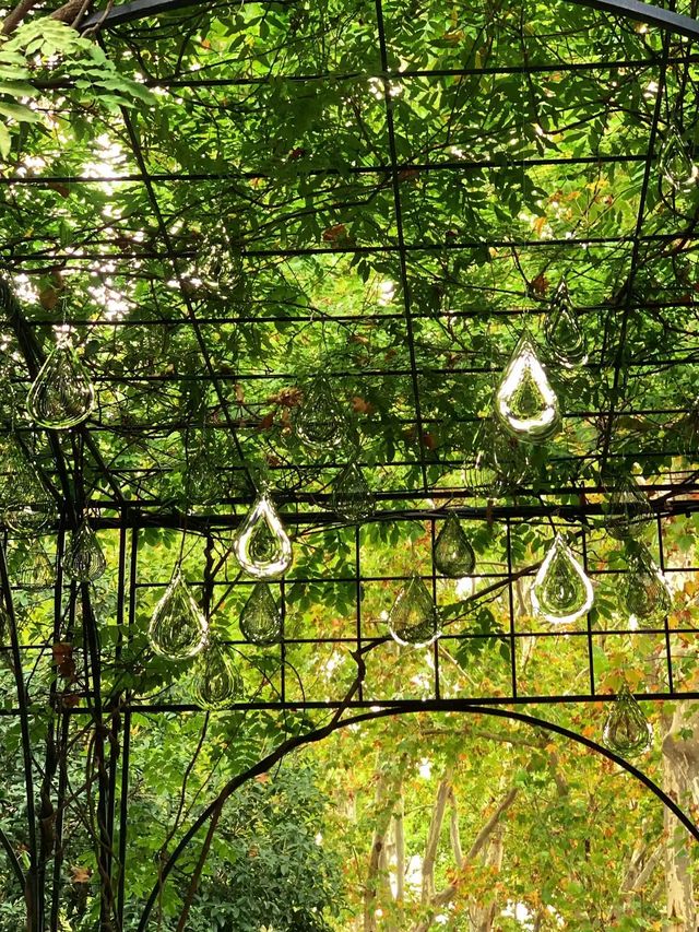 公園的浪漫，復興公園不會淋濕的雨