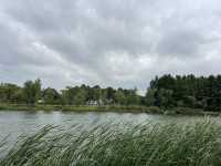 東沙湖生態公園