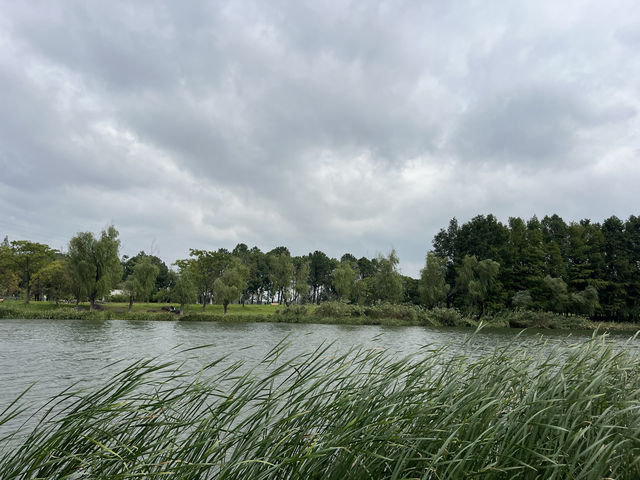 東沙湖生態公園