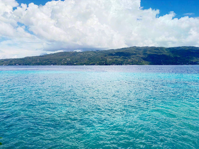 🌊 宿霧｜與鯨鯊共游的那片湛藍記憶
