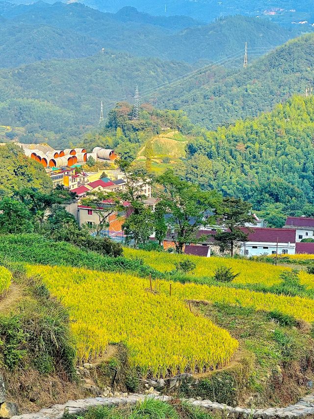 天台山秋色鎏金秘境