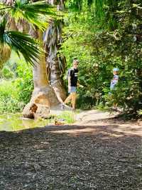 洛杉磯 盖蒂中心 格里菲斯天文台 植物園