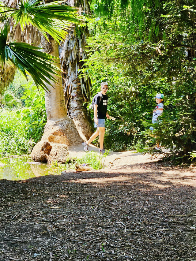 洛杉磯 盖蒂中心 格里菲斯天文台 植物園