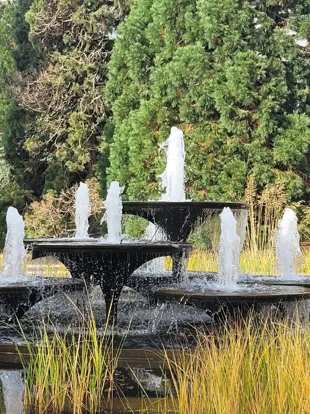 A Delightful Autumn Visit to the Gardens