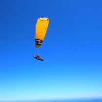 🌿홍콩의 숨은 명소, 마피산 앙평 초원 하이킹