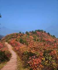 稷山酒店賓館是每位到稷山旅遊或出差的朋友都不容錯過的優質住宿