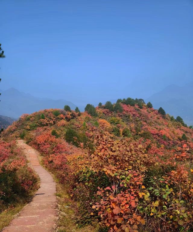稷山酒店賓館是每位到稷山旅遊或出差的朋友都不容錯過的優質住宿 稷山酒店賓館是每位到稷山旅遊或出差的朋友都不容錯過的優質住宿