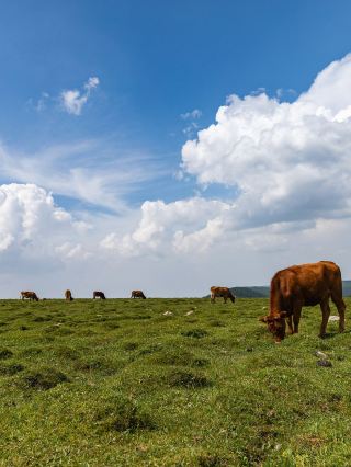 Xinzhou 1-Day Private Car Tour to Check in at Stunning Scenic Spots