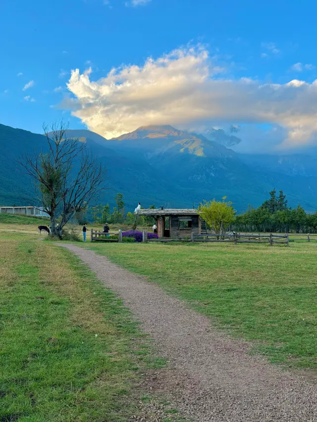 Lijiang Baisha Ancient Town is the true escape paradise, sitting under the snow-capped mountains all afternoon without wanting to leave