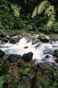 《喀斯特秘境：與遠古精靈的對話》