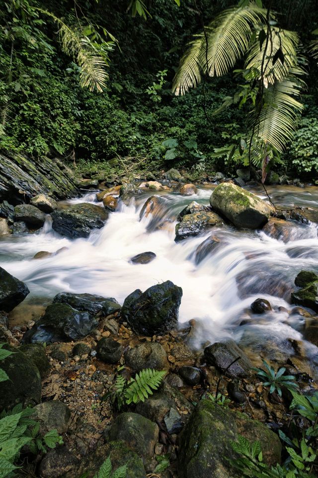 《喀斯特秘境：與遠古精靈的對話》