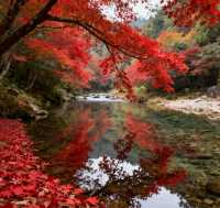 乘上復古小火車，闖入南國油畫世界！