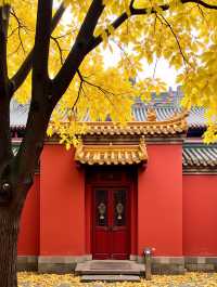 甘肅呢個「隴上小九寨」簡直靚到喊!比九寨溝人少景更仙!