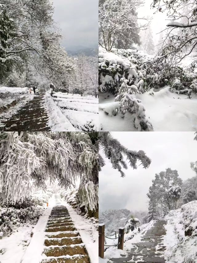 蒙頂山登天蓋寺觀雲海觸摸天空的藍