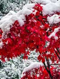 達古冰川旅遊攻略