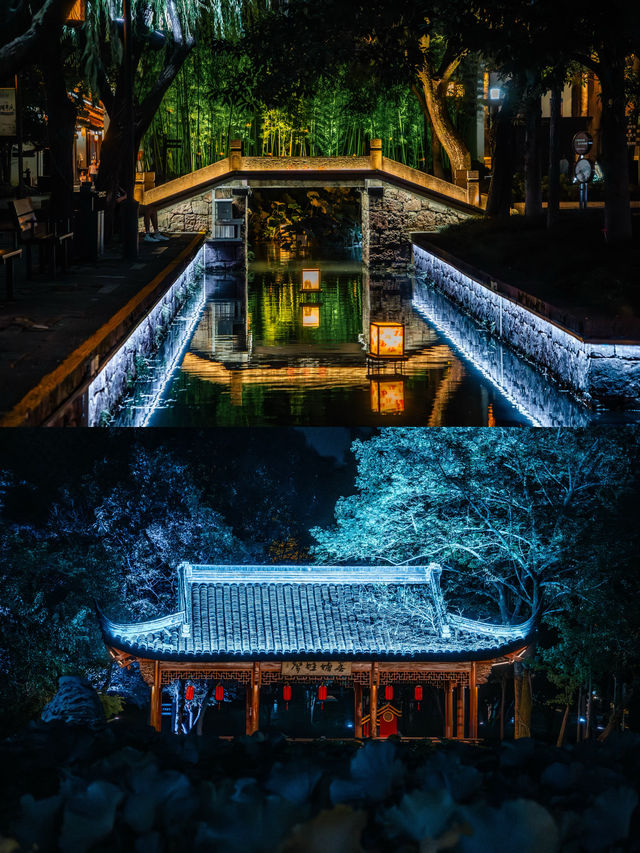 初見彼岸花，竟在諸暨浦陽江畔的沿江棧道旁