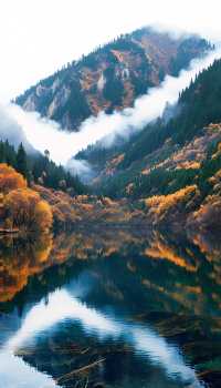 師傅，剎一腳深度遊九寨溝：童話世界照進現實