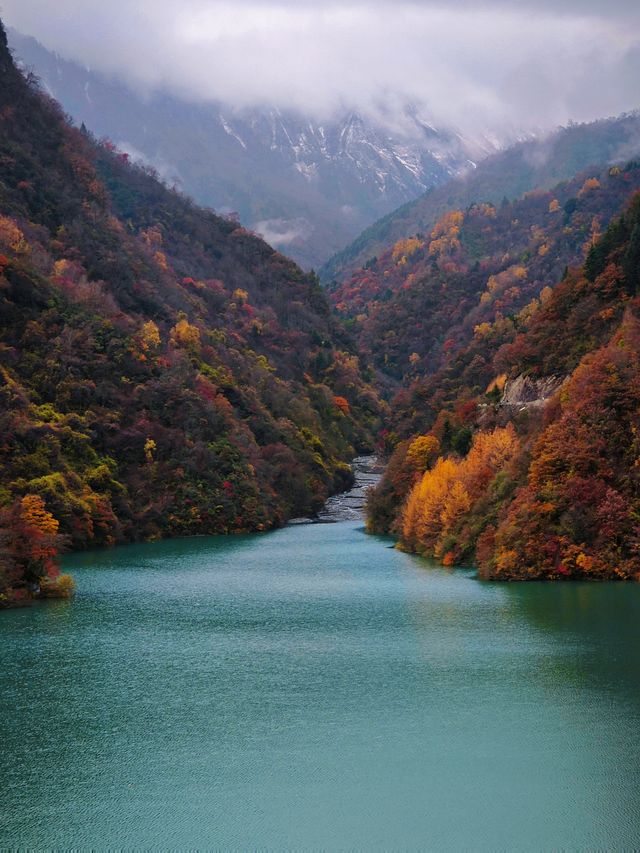 第四次往返平武，我推薦這個遊玩路線