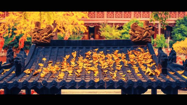 南京最禪意銀杏地毗盧寺私藏機位攻略