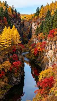 長白山：與天地對望，與神明私語